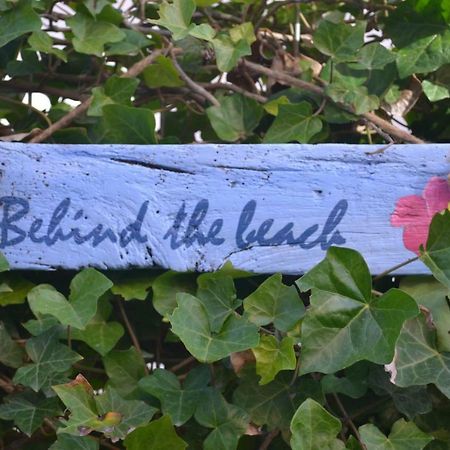 Behind The Beach 赞德沃特 外观 照片